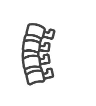 Spine Specialists